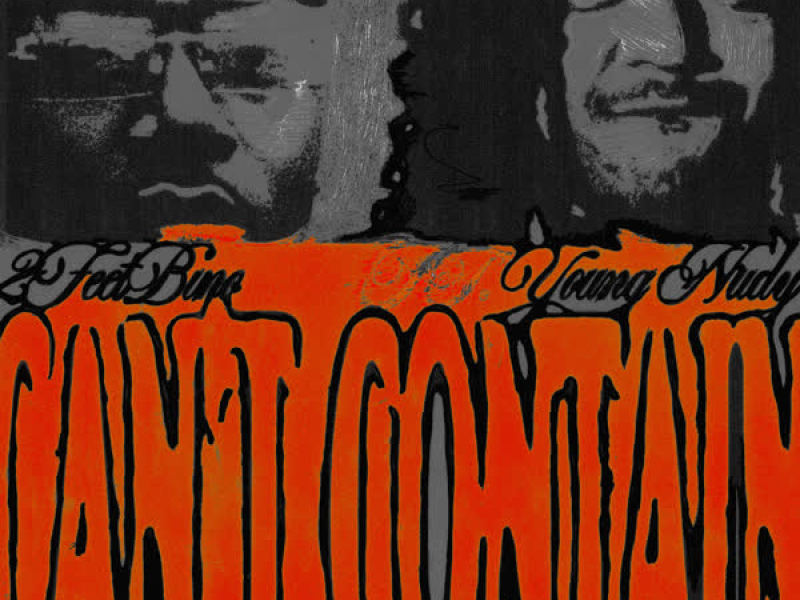 Can't Contain (Single)