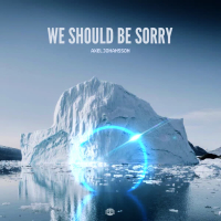 We Should Be Sorry (Single)