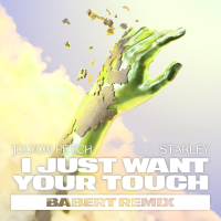 I Just Want Your Touch (Babert Remix) (Single)