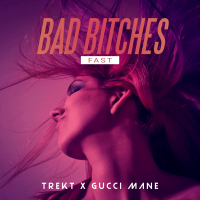 Bad Bitches (feat. Gucci Mane) (Fast) (Single)