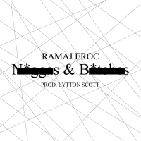 N*ggas & B*tches (Single)