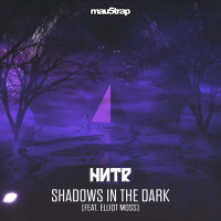 Shadows in the Dark (Single)