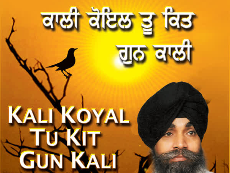 Kali Koyal Too Kitt Gunn Kali