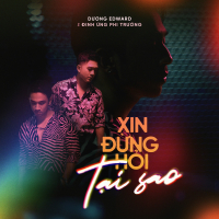 Xin Đừng Hỏi Tại Sao (Single)