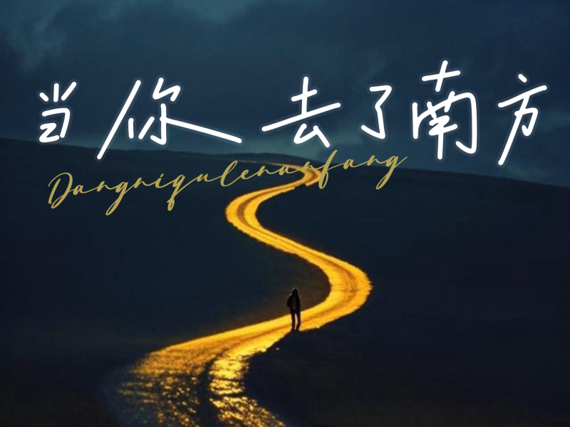 当你去了南方 (Single)