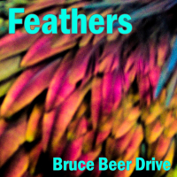 Feathers (Upbeat Synthwave with Bruce Beer Drive) (Single)