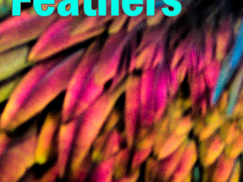 Feathers (Upbeat Synthwave with Bruce Beer Drive) (Single)