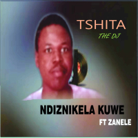Ndiznikela Kuwe (feat. Zanele) (Single)