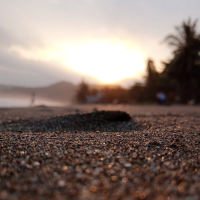 The beauty of Indonesia (Single)