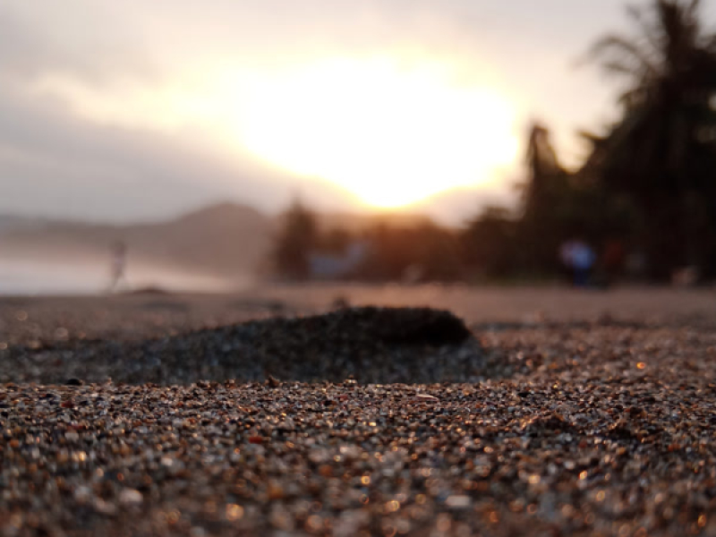 The beauty of Indonesia (Single)