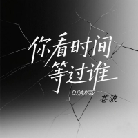 你看时间等过谁 (Dj浩然版) (Single)