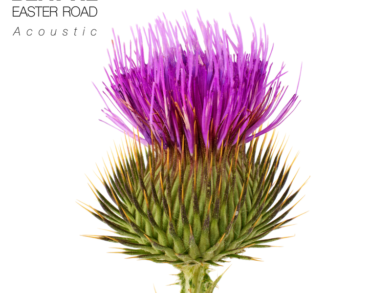 Easter Road (Acoustic Mix) (Single)