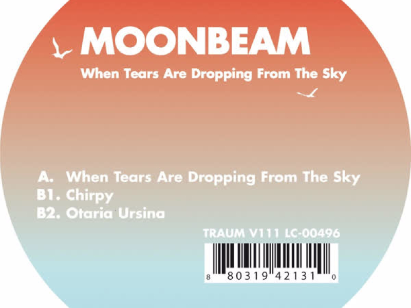 When Tears Are Dropping from the Sky