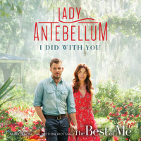 I Did With You (From “The Best Of Me”) (Single)