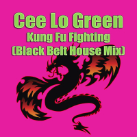 Kung Fu Fighting (Black Belt House Mix) (Single)