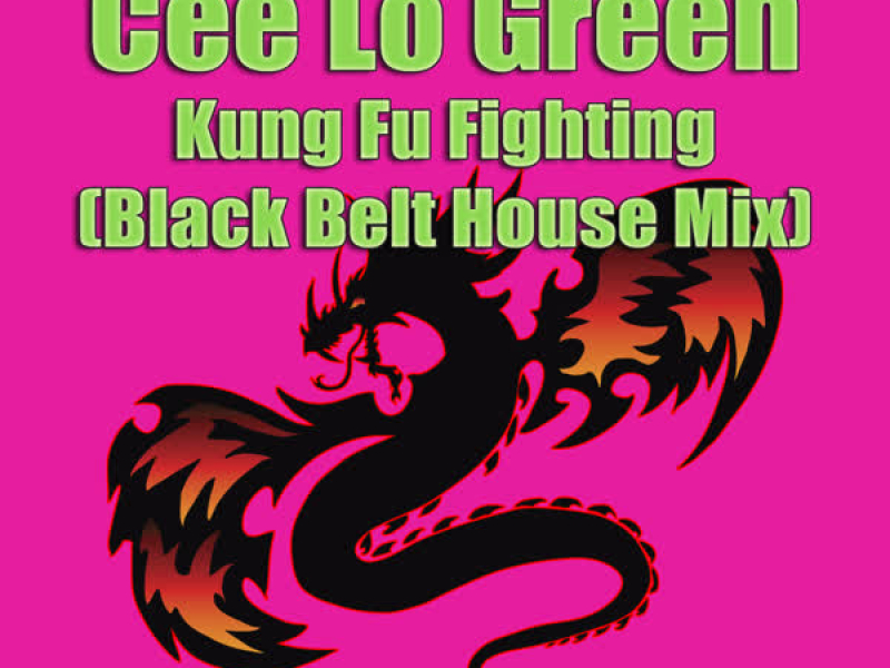 Kung Fu Fighting (Black Belt House Mix) (Single)