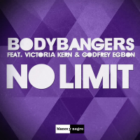 No Limit (Single)