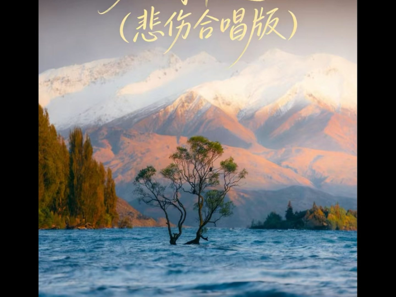 人间半途 (悲伤合唱版) (Single)