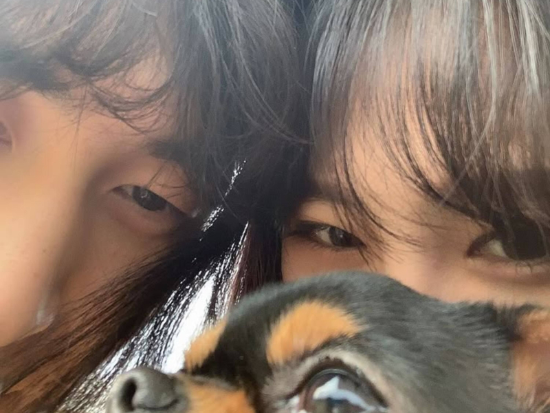 DAISIES (Sped Up) (EP)