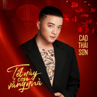 Tết Này Con Vắng Nhà (Single)