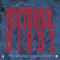 Nocturnal Birds (Single)