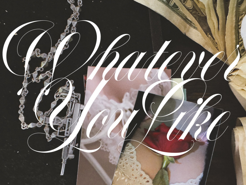 Whatever You Like (Single)