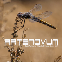 Don't Run Away (Gravity of Love Mystic Mix) (Single)