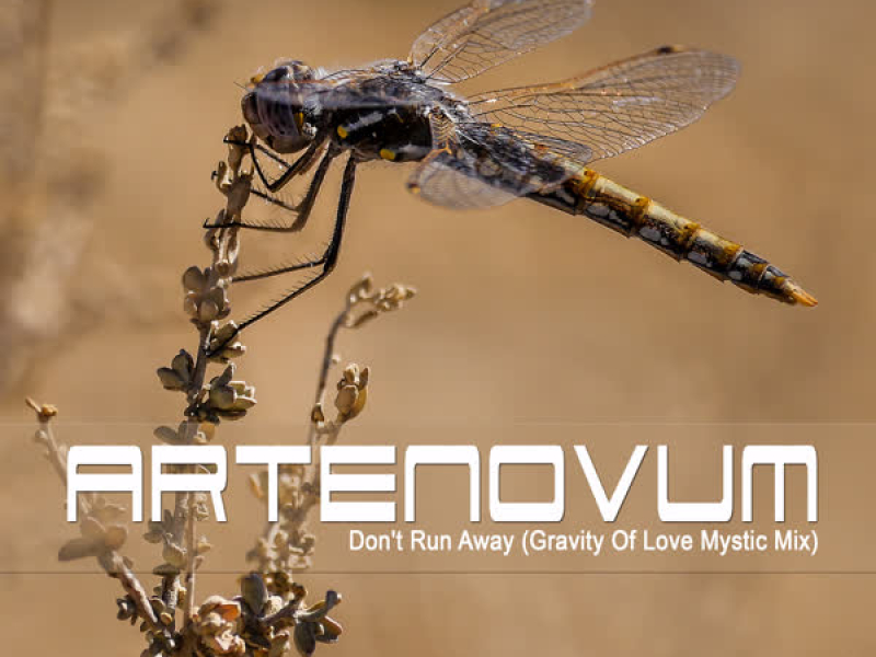 Don't Run Away (Gravity of Love Mystic Mix) (Single)