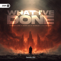 What I've Done (Hardstyle) (Single)