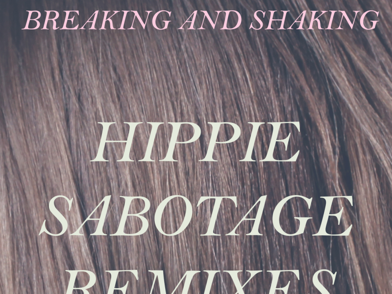 Breaking and Shaking (Hippie Sabotage Remixes)