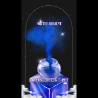For The Moment Remix (feat. T-Pain) (Single)