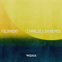 Filament (Charlie Lim Remix) (Single)