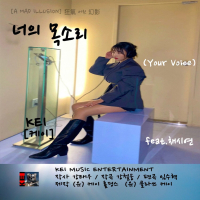 Your voice (a mad illusion) (EP)