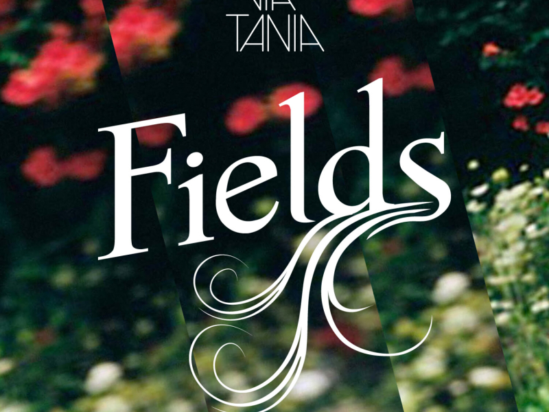 Fields (EP)