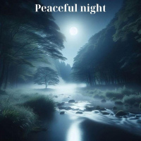 Peaceful Night (Single)