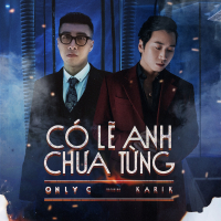 Có Lẽ Anh Chưa Từng (Single)