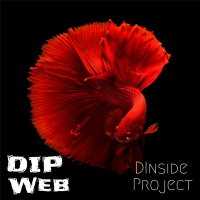 DIP Web (Single)
