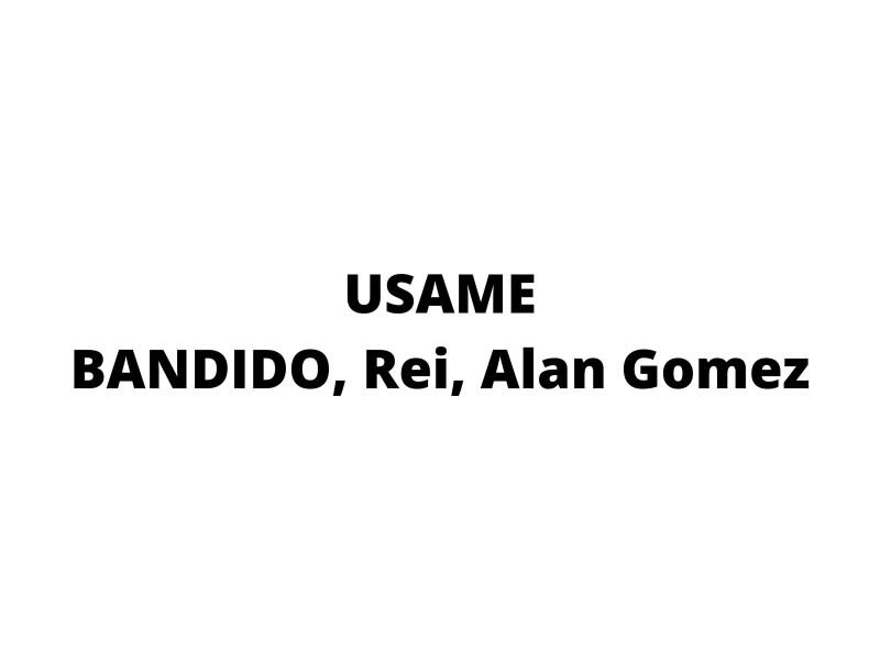 USAME (Single)