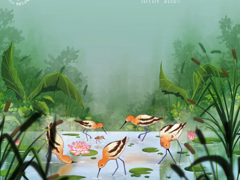 Sippin' Birds (Single)