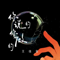 你说的 你做的 (EP)