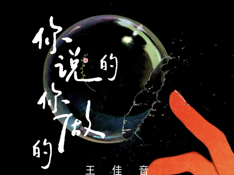 你说的 你做的 (EP)