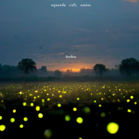 fireflies (Single)