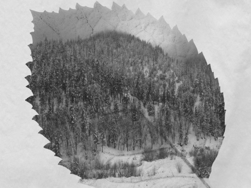 Songs for the Holidays (EP)