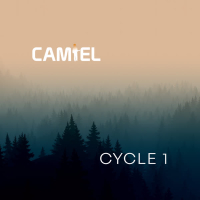 Cycle 1 (Single)
