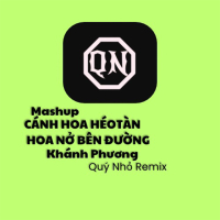 Mashup Cánh Hoa Héo Tàn, Hoa Nở Bên Đường (Quý Nhỏ Remix) (Single)