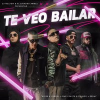 Te Veo Bailar (feat. Brray & Alejandro Armes) (Single)
