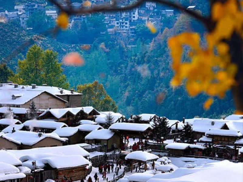 北方的北南方的南 (Single)