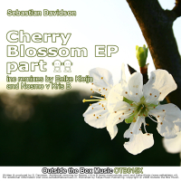 Cherry Blossom EP Part 2 (EP)