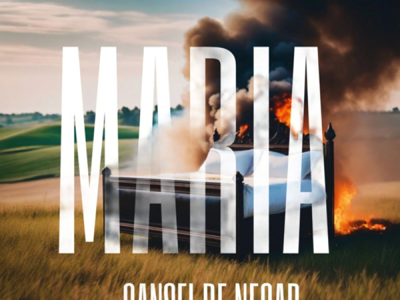 CANSEI DE NEGAR (Single)