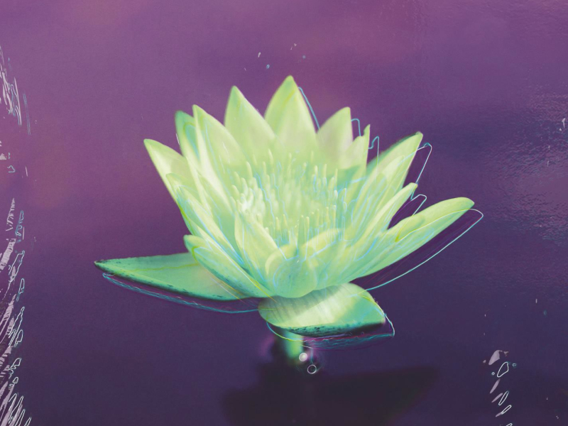 Without Your Loving (FIXL Remix) (Single)